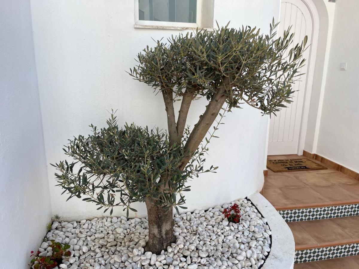 Casa Del Olivo Villa Almuñécar Eksteriør bilde